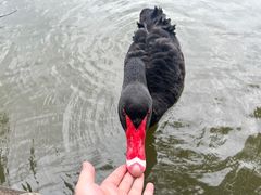-上海野生动物园