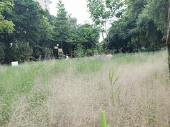 -映月湖公园