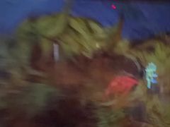 -Xcape异时刻密室逃脱魔法互动(瑞虹天地太阳宫店)