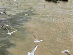 -深圳湾公园(南山区)