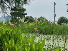 -东湖落雁景区