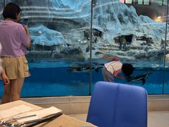 -帝企鹅自助餐厅•儿童岛•真企鹅(长隆企鹅酒店)