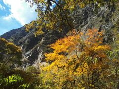 -叠溪松坪沟景区