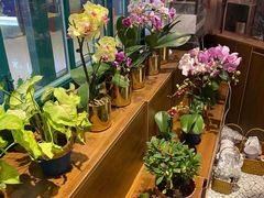 -BOBLOOM花店(宝龙旭辉广场店)