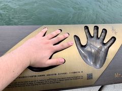 -星光大道