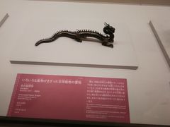 -东京国立博物馆