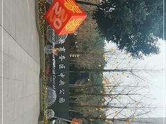 -重庆市江北嘴中央商务区中央公园