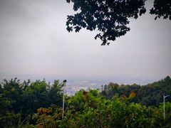 -火炉山森林公园