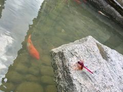 -前童古镇