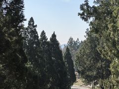 -白水寺森林公园