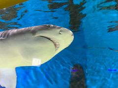 -秦皇岛新澳海底世界