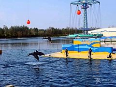 -秦皇岛乐岛海洋王国