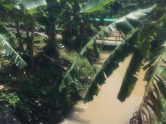 -世界恐龙谷景区