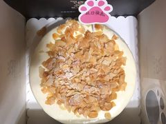-熊猫不走蛋糕(东平店)