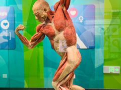 -国家自然博物馆