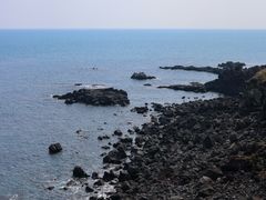 -涉地可支