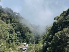 -云南屏边大围山国家公园