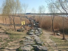 -绿堤公园