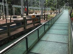 -四会奇石河风景区
