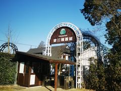 -金山农民画村-枫泾波兰倒置屋