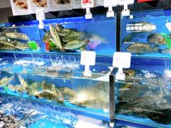 水产区-盒马鲜生(馥邦国际店)