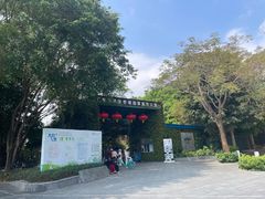 -华侨城湿地公园