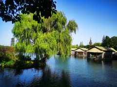 -乌镇景区