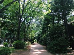 -井之头恩赐公园