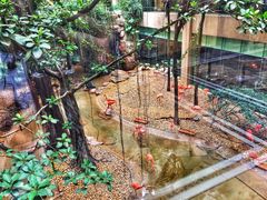 -麒麟中餐厅·经典粤菜·地道菜式老字号(广州长隆酒店)