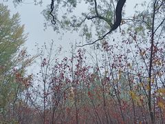 -青城公园