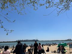 -光岳楼