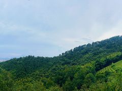 -敬亭山风景名胜区