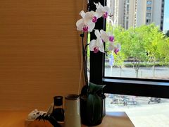 -一石三鸟烧鸟•刺身•定食套餐(南桥美谷店)