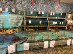 水产区-福满园大酒楼(梅林店)