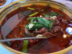 -绿野餐厅(上海动物园店)