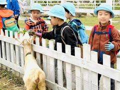 -前小桔亲子创意农场·草莓采摘·露营烧烤