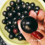 酸酸甜甜的嘉宝果
