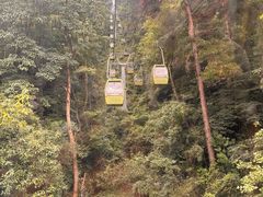 -黔灵山公园