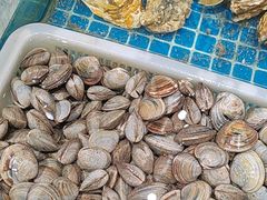 -和源祥·日照菜扛把子(万平口一店)