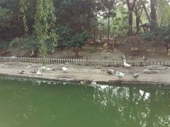 android_upload_pic-太原动物园