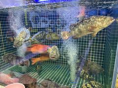 -开海·红岛海鲜虾水饺(石老人店)