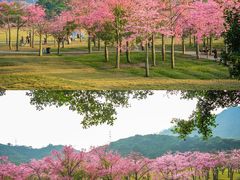 -风云岭森林公园