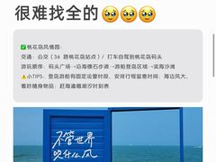 -日照海滨国家森林公园