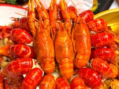 -波锅卤虾·王牌卤虾(汉阳店)