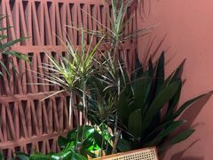 -LANN I 蘭·泰式古法按摩(高岛屋百货店)