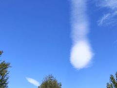 -野鸭湖国家湿地公园