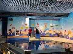 -太平洋海底世界