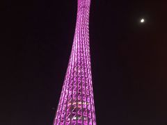 -珠江夜游广州塔·中大码头