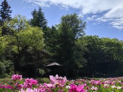 -萨尔浒风景区