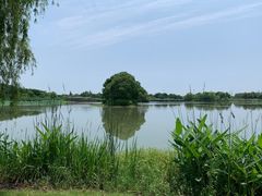 -梁鸿国家湿地公园